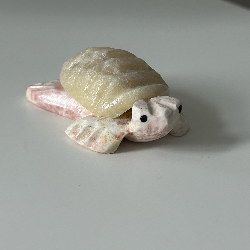 Cute crystal turtle